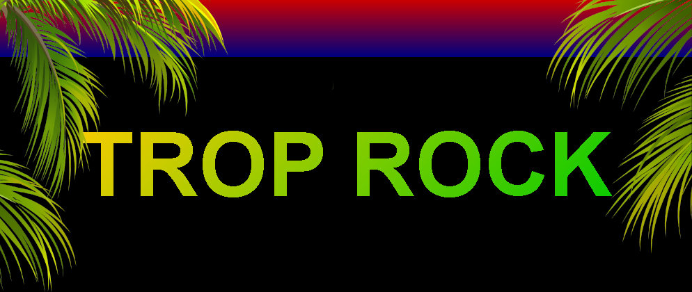 Palm Tree border Trop Rock Show