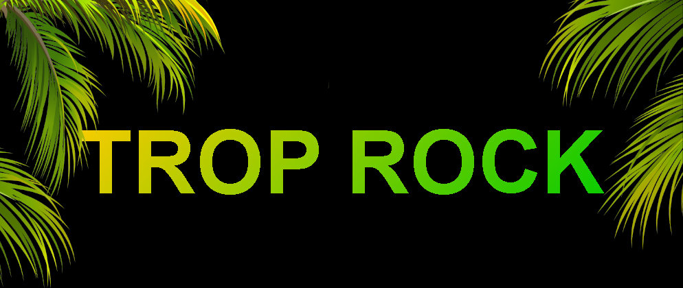 Palm Tree border Trop Rock Show